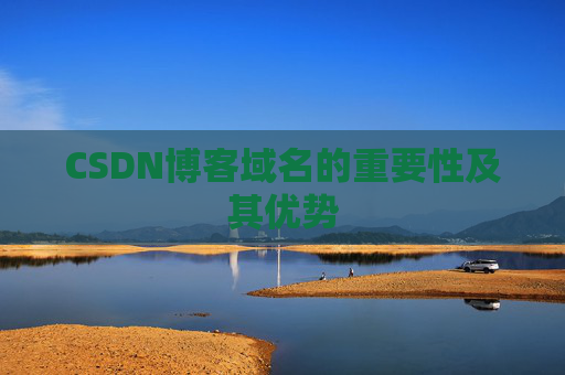 CSDN博客域名的重要性及其优势